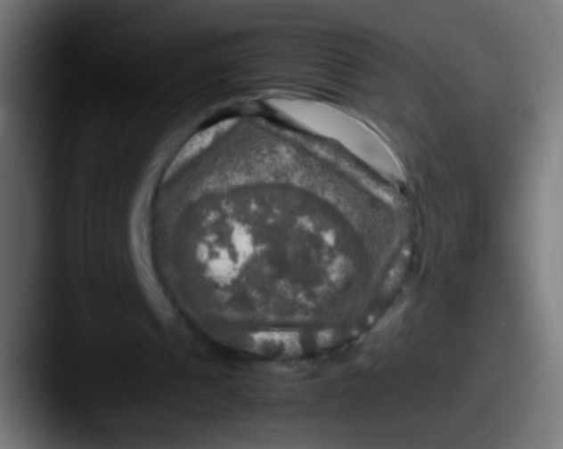 X0000087620241200705181318