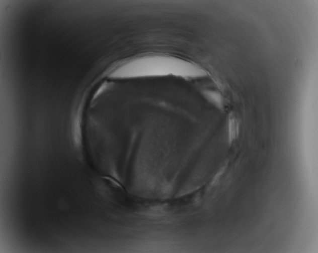 X0000087620243200705181318