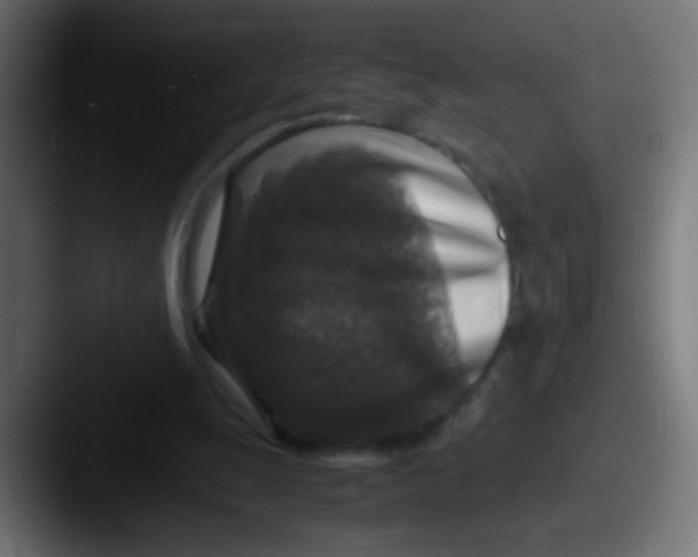X0000087620247200705181318