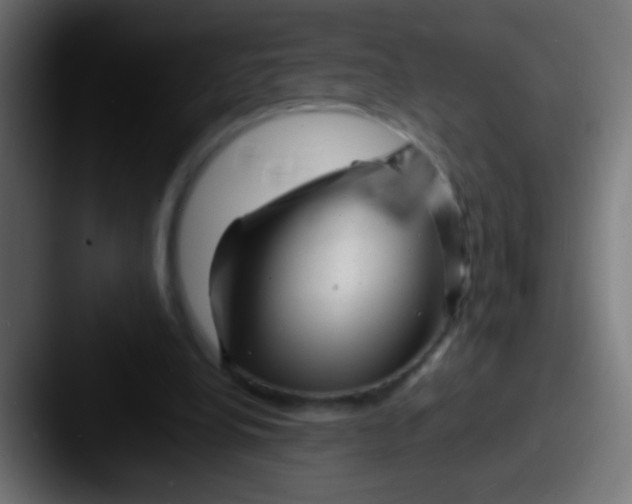 X0000087620248200705181318