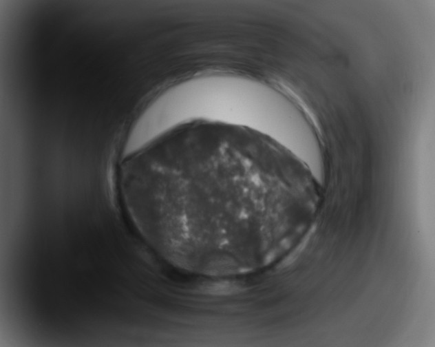 X0000087620249200705181318