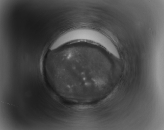 X0000087620250200705181318