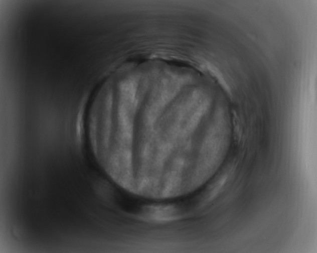 X0000087620251200705181318
