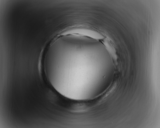 X0000087620252200705181318
