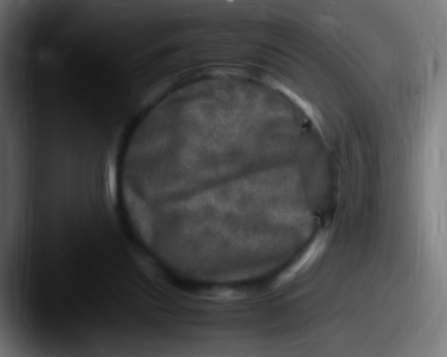 X0000087620253200705181318