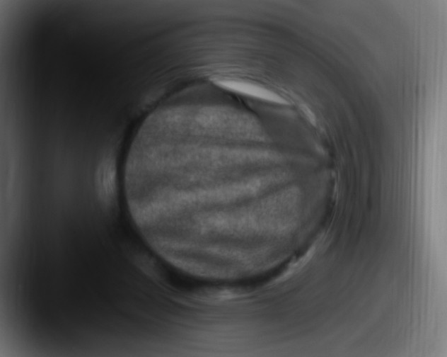 X0000087620254200705181318