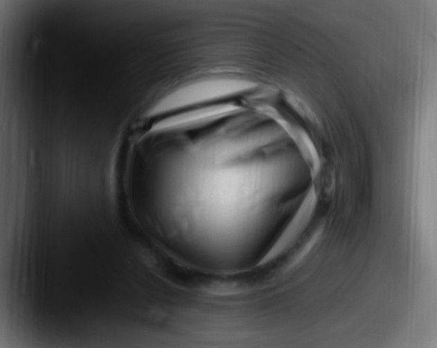 X0000087620256200705181318
