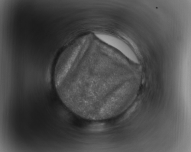 X0000087620257200705181318