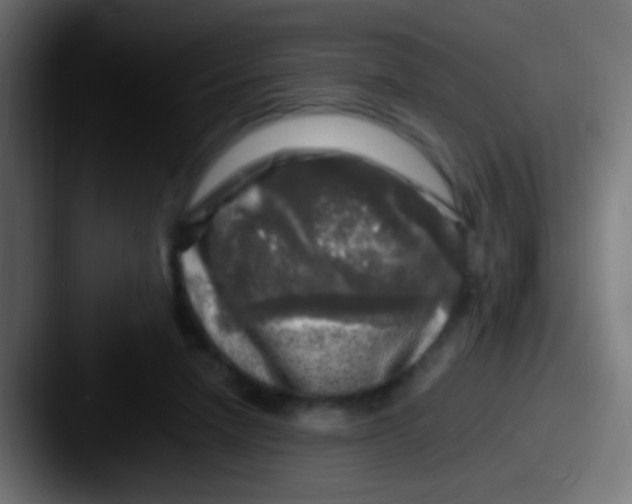 X0000087620258200705181318