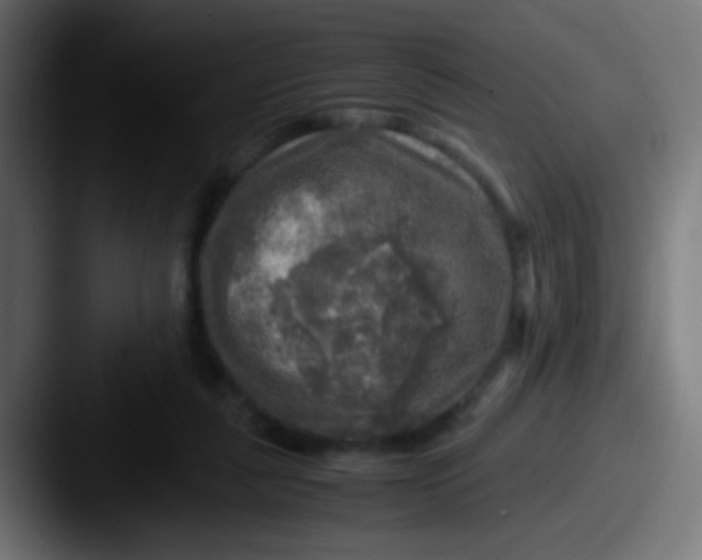X0000087620259200705181318