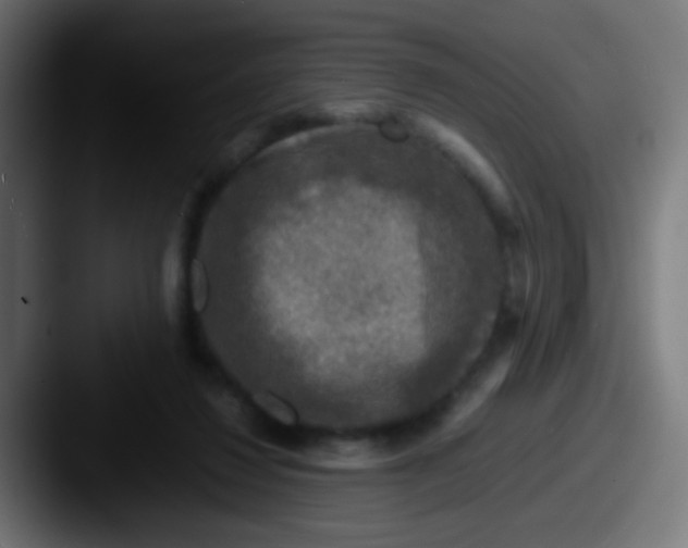 X0000087620260200705181318