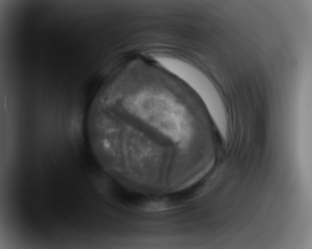 X0000087620263200705181318