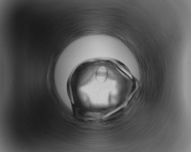 X0000087620264200705181318