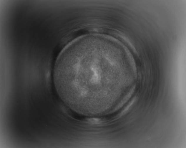 X0000087620265200705181318