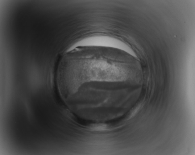 X0000087620266200705181318