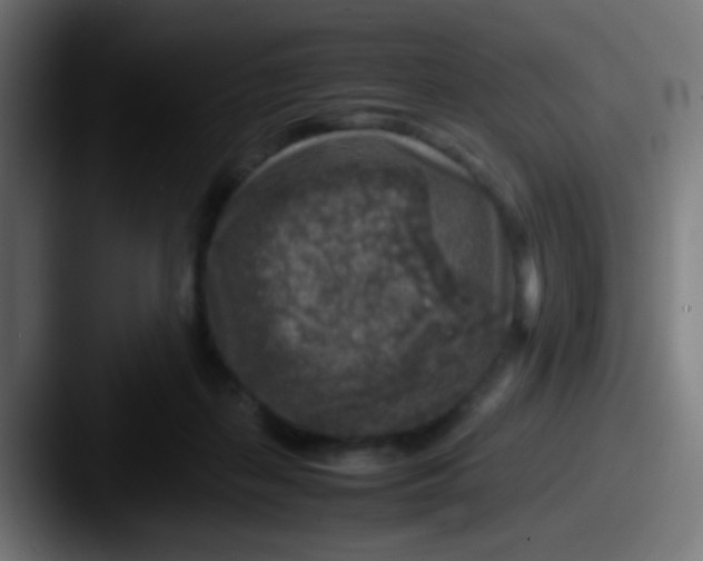 X0000087620267200705181318