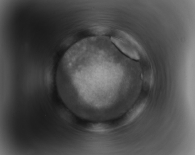 X0000087620268200705181318