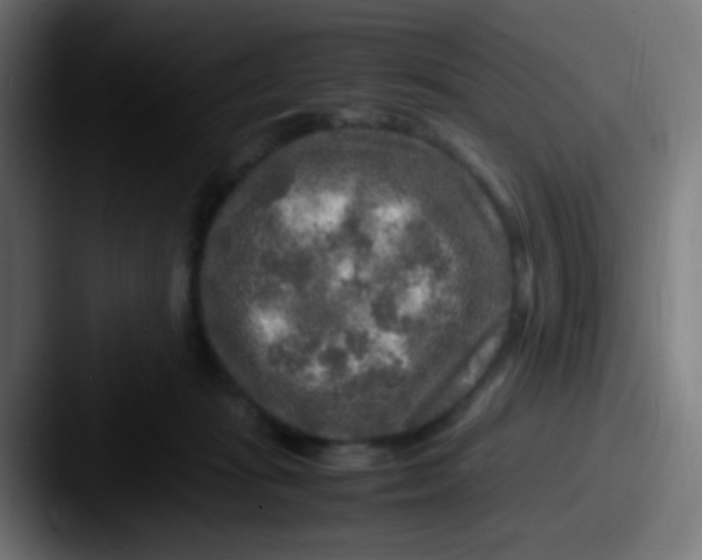 X0000087620269200705181318