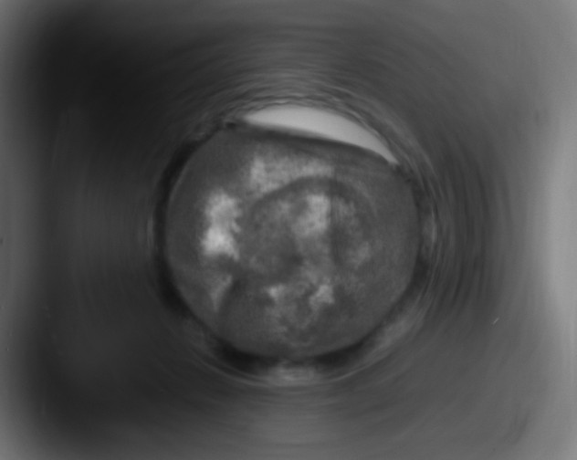X0000087620270200705181318