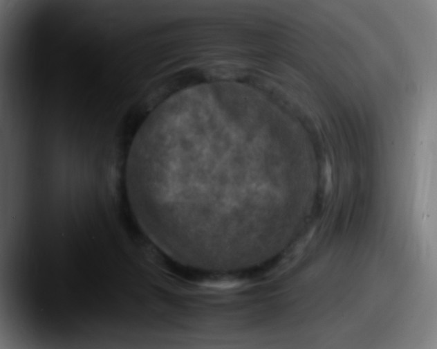 X0000087620271200705181318