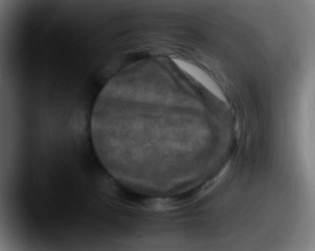 X0000087620273200705181318