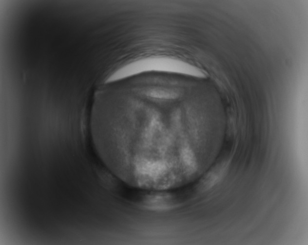 X0000087620274200705181318