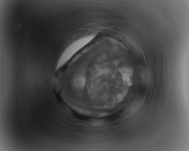 X0000087620275200705181318