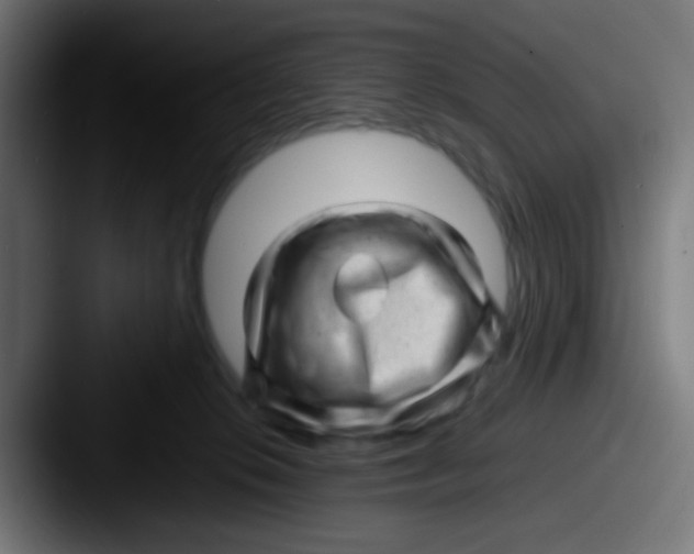 X0000087620276200705181318