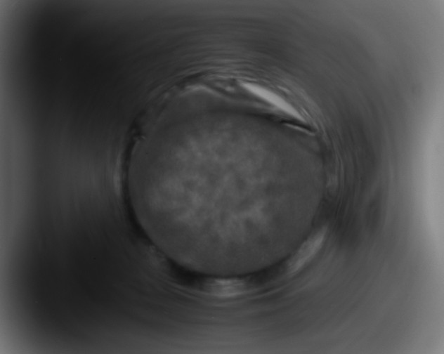 X0000087620277200705181318