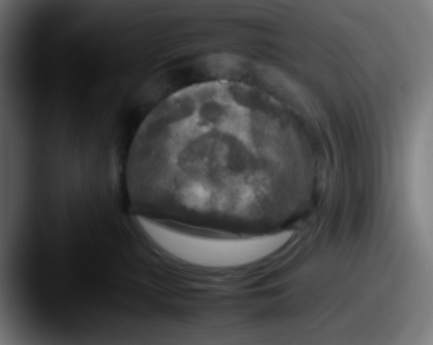 X0000087620279200705181318
