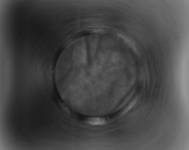 X0000087620281200705181318