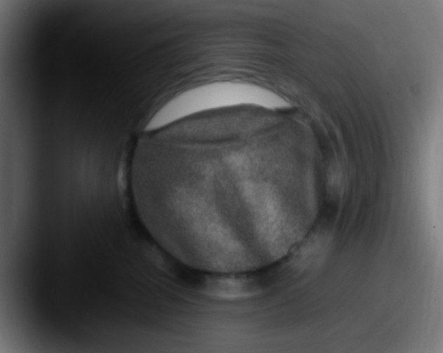 X0000087620282200705181318