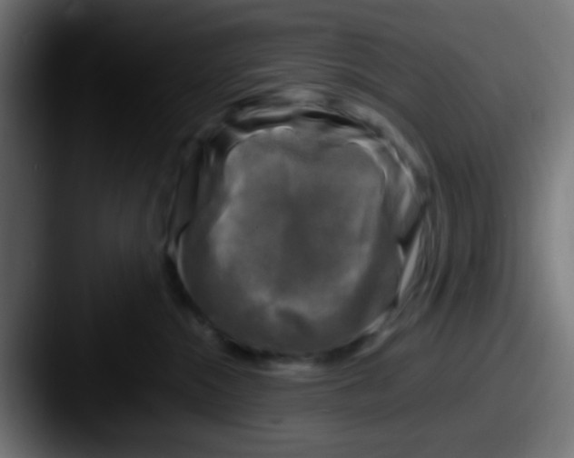 X0000087620284200705181318