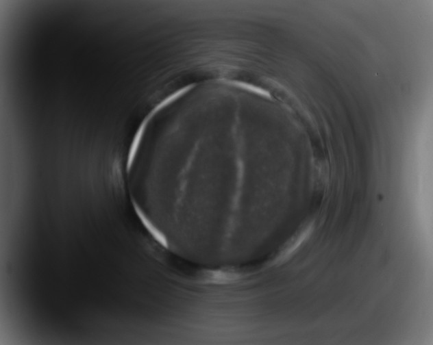 X0000087620286200705181318