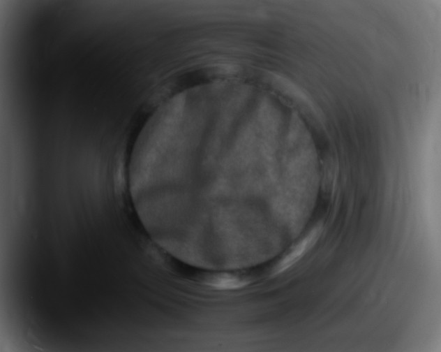 X0000087620287200705181318