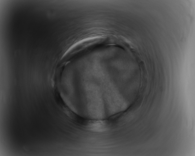 X0000087620288200705181318