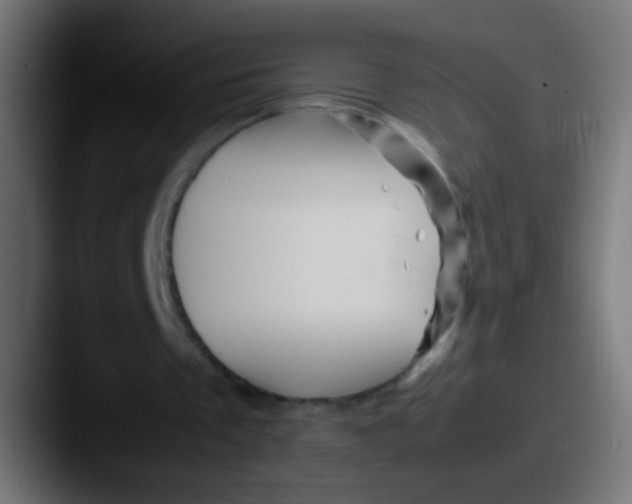X0000087620289200705181318
