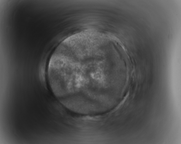 X0000087620290200705181318
