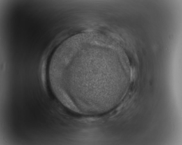 X0000087620291200705181318