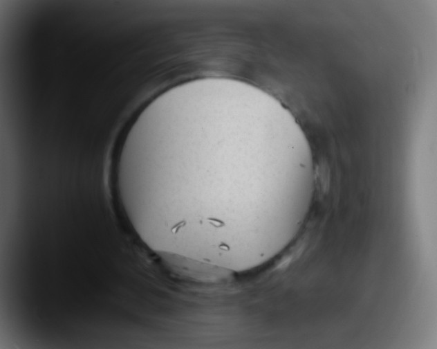 X0000087620292200705181318