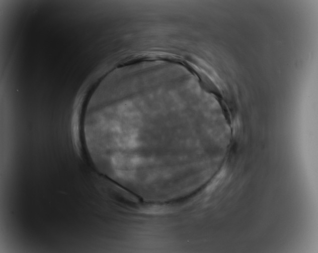 X0000087620293200705181318