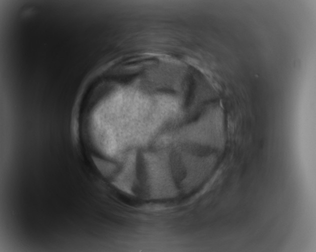 X0000087620294200705181318