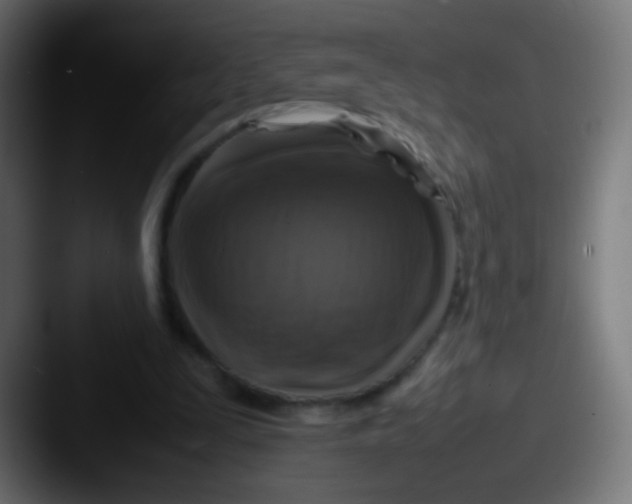X0000087620295200705181318