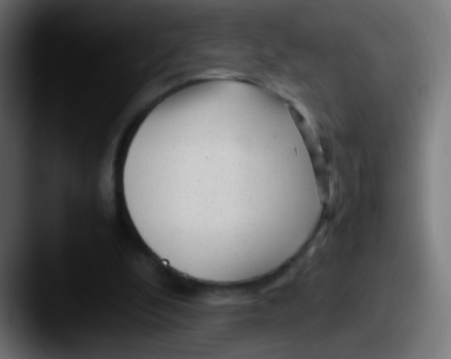 X0000087620296200705181318