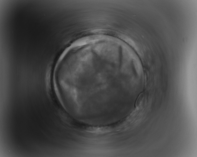 X0000087620297200705181318