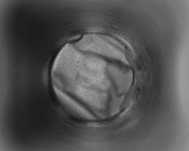 X0000087620298200705181318