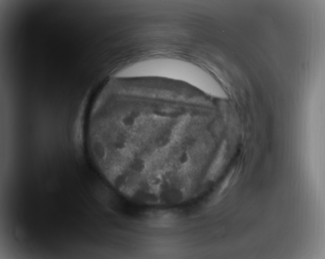 X0000087620299200705181318