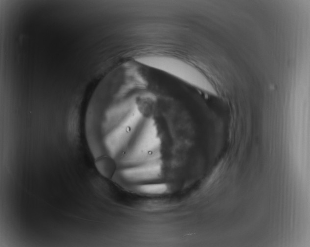 X0000087620303200705181318
