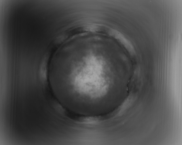 X0000087620305200705181318