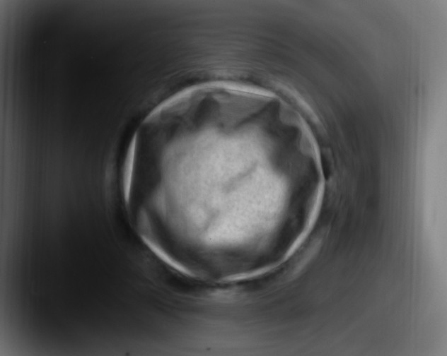 X0000087620306200705181318